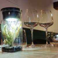 Une table et sa décoration végétale au restaurant La Rencontre à Montreuil-Bellay