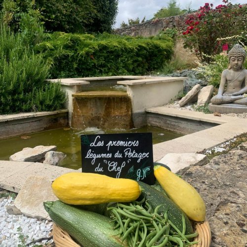 Les premiers légumes du potager du Chef du restaurant La Rencontre