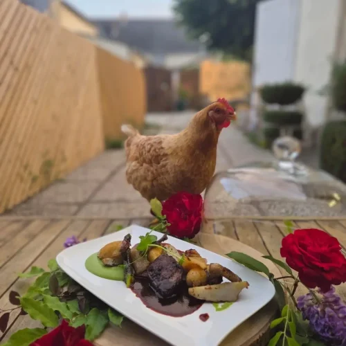 Une poule posant à côté d'un délicieux plat du restaurant La Rencontre, à Montreuil-Bellay, Pays de la Loire
